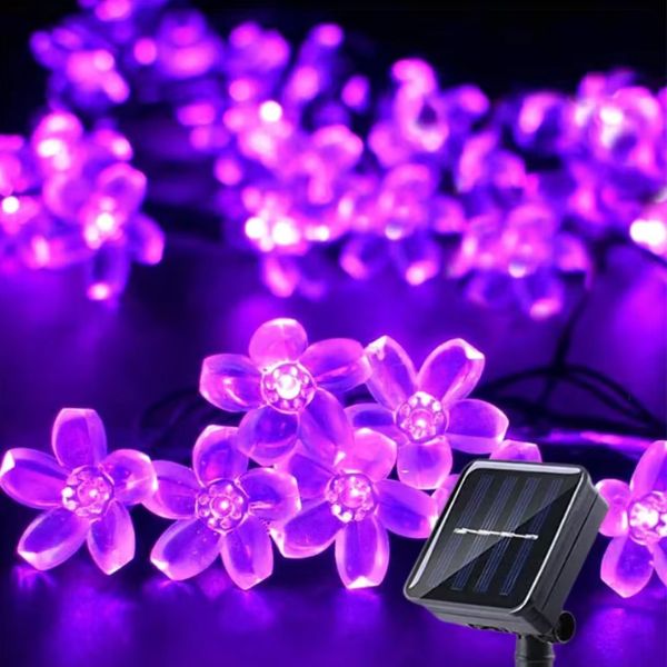Guirlande solaire extérieur | cerises violet