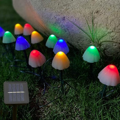 guirlande lumineuse extérieur | multicolores