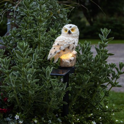 Lampe solaire exterieur  hibou blanc
