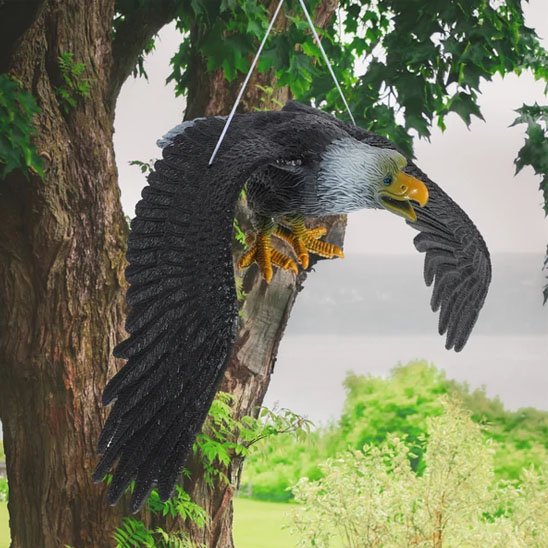 Statue de jardin aigle noir